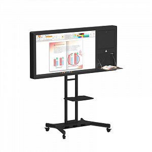 Интерактивная панель STORM S PREMIUM 65" (с документ-камерой)